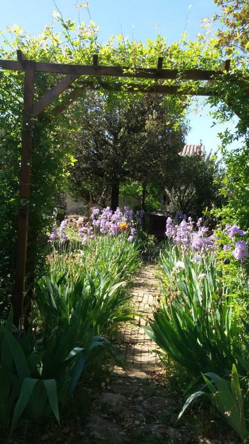 Le Jardin D'Adam Hotel Gordes Exterior photo